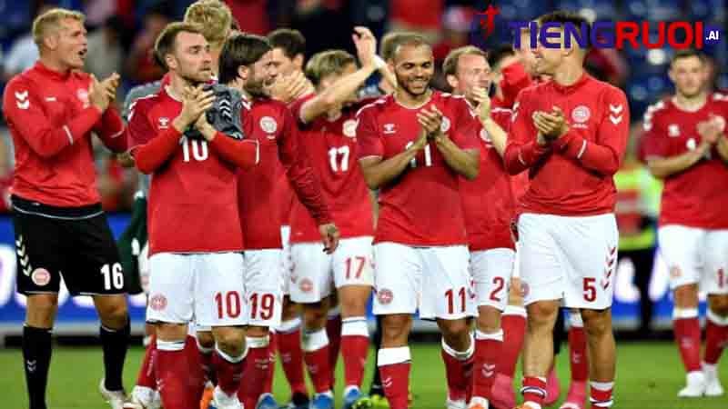 Tổng quan về đội bóng quốc gia của Đan Mạch